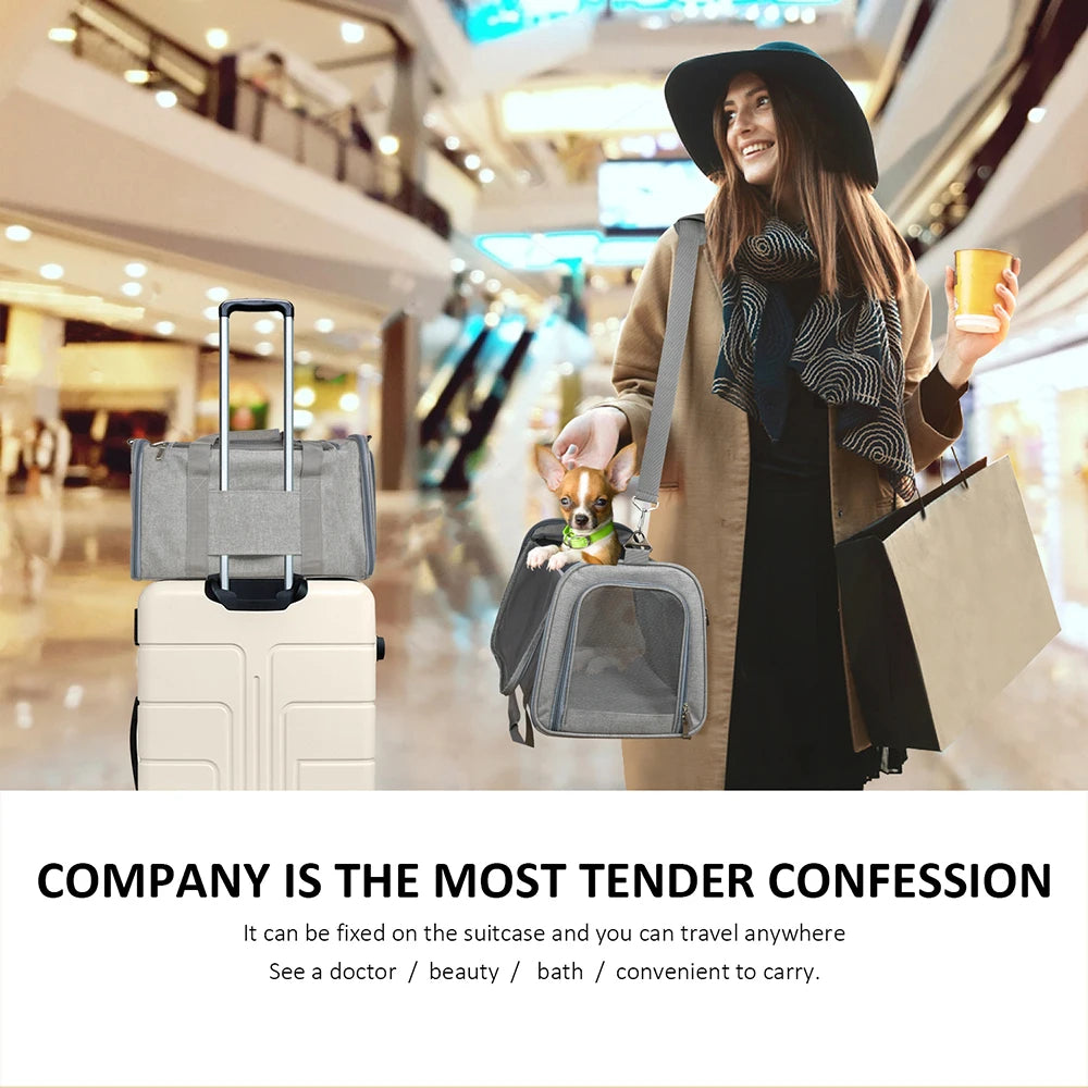 Comfortable pet carrier with airline-approved design and lifetime warranty