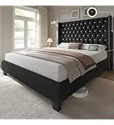 Queen Size Bookcase Headboard and 4 Drawers,RGB LED Bed Frame with USB Charging Station Storage