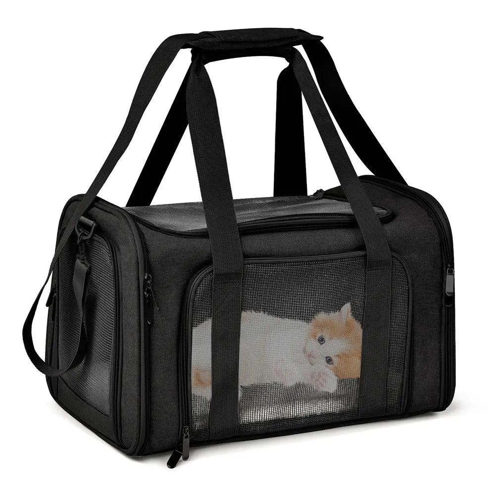 Comfortable pet carrier with airline-approved design and lifetime warranty