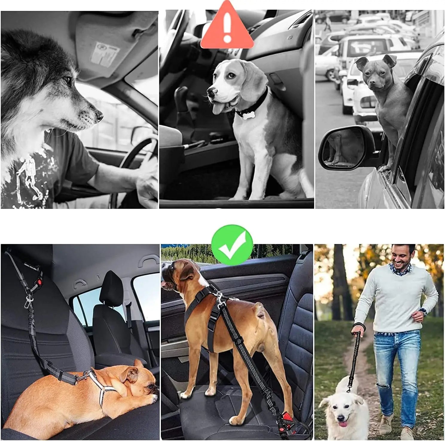 Dog 2-in-1 Car Seatbelt