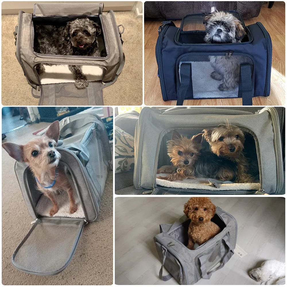 Comfortable pet carrier with airline-approved design and lifetime warranty